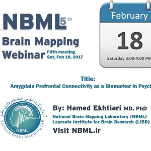 جلسه پنجم از سلسله جلسات وبینار آزمایشگاه ملی نقشه برداری مغز